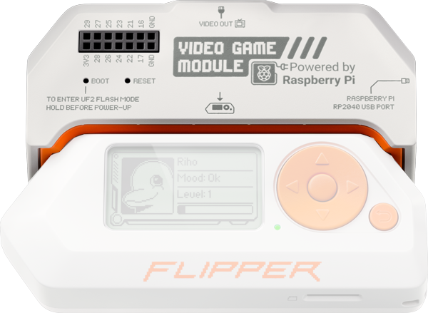 Flipper Zero Video Game Module Powered by Raspberry Pi